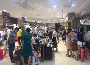 安徽发现之光教育信息咨询 照亮成长之路的专业引航